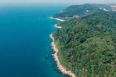 2026 郑钦文法网夺冠概率分析：红土训练强度与心态管理的质变。，柳琴弹片厚度标准是多少